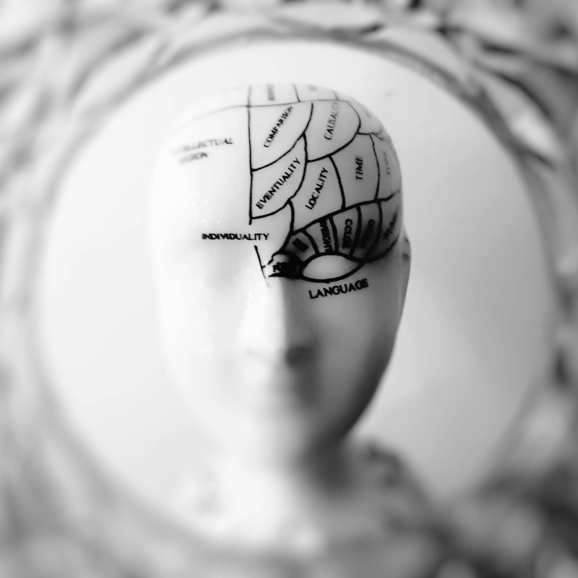What Happens When Neurospicy Meets Hormonal Chaos?
